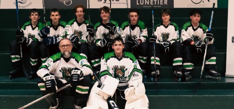 Roller hockey